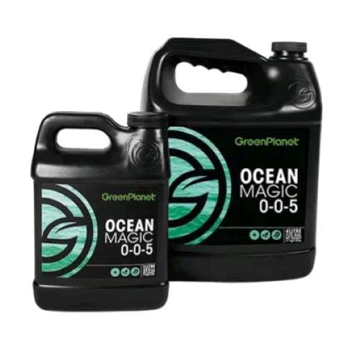 1LT, OCEAN MAGIC, atlantic sea kelp, Green Planet USA