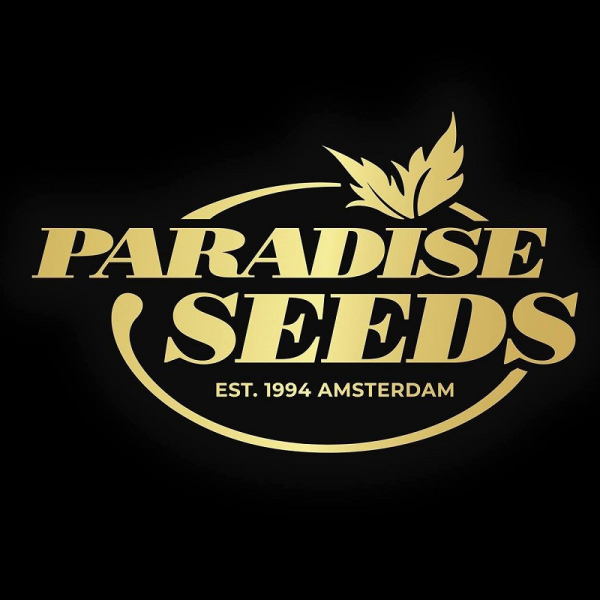 PARADISE SEEDS - Amsterdam