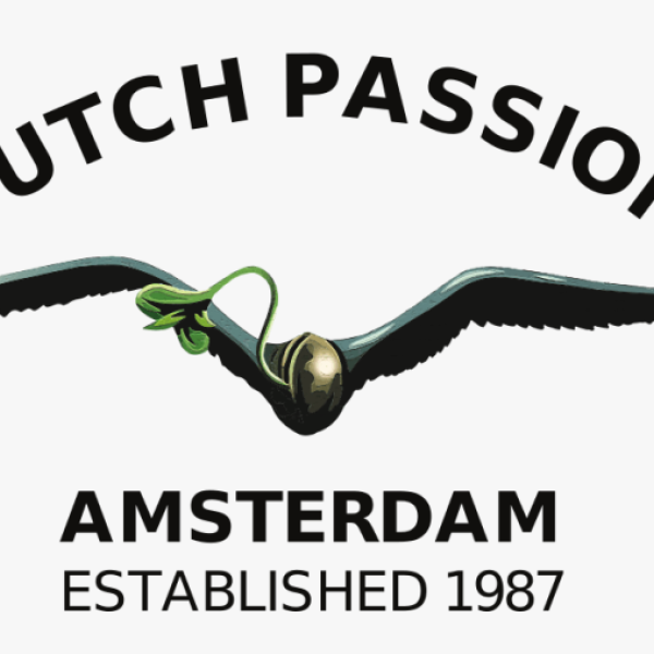 DUTCH PASSION® Cannabis seeds, since 1987-Netherlands