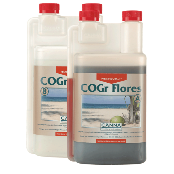 1LT, A+B, bloom stage, Cogr Flores, Canna