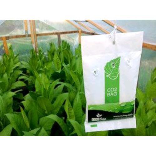 XL, carbon dioxide bag, for indoor growing, the most important components of growing up plants, Co2 Bag